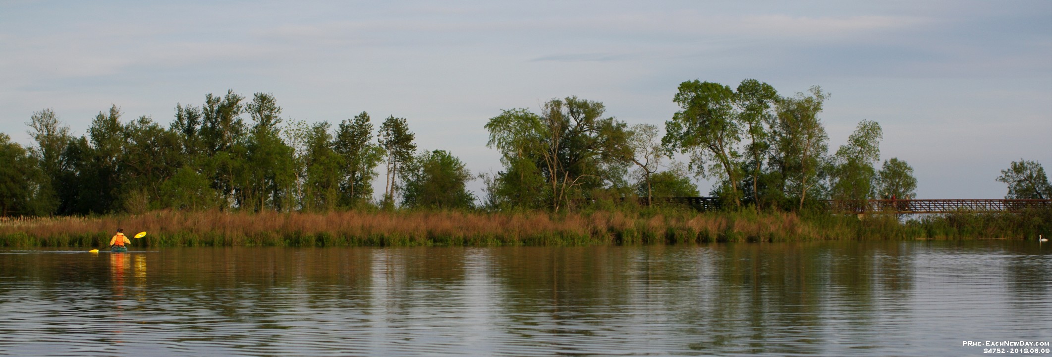 34752CrLe - Kayaking with Julia on Duffins Creek on a great Father's Day weekend